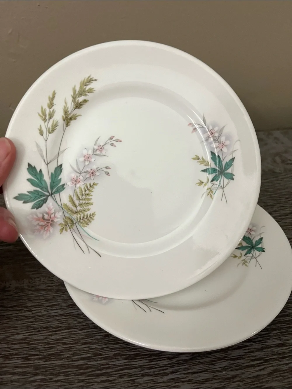 Vintage Queen Anne bone china plate in the Louise pattern, set of six